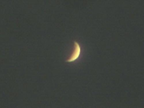 Venus