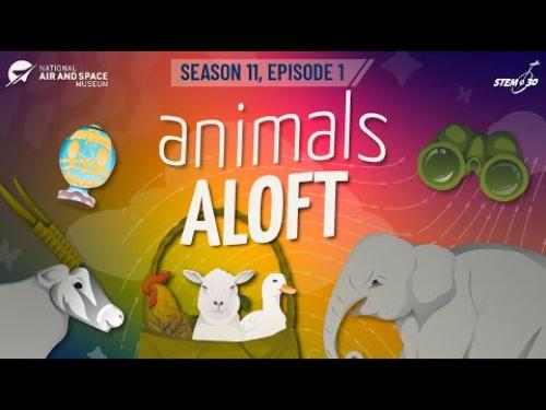 A video about animals and flight. 